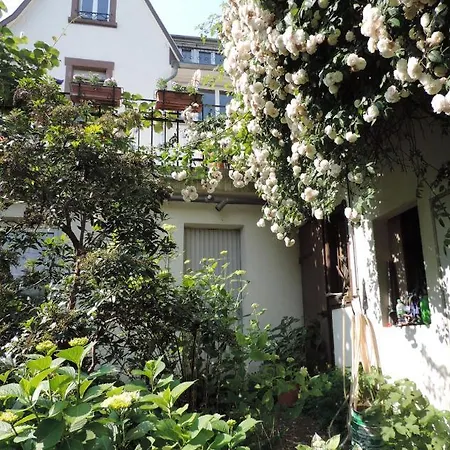 Apartment Au-dessus Du Jardin Climatise *