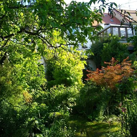 Au-dessus Du Jardin Climatise Eckbolsheim