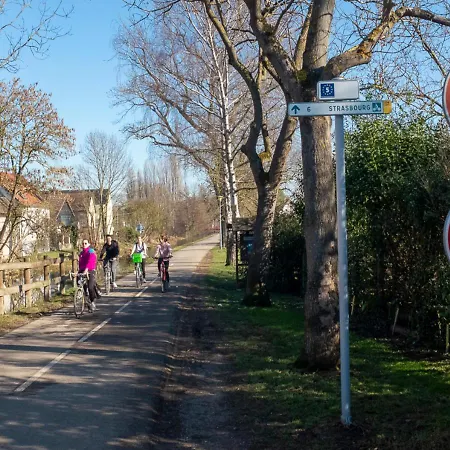 Au-dessus Du Jardin Climatise Eckbolsheim