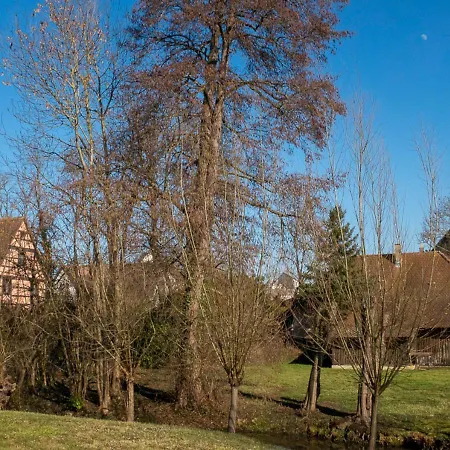 Apartment Au-dessus Du Jardin Climatise Eckbolsheim