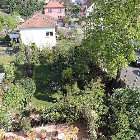 Au-dessus Du Jardin Climatise Eckbolsheim
