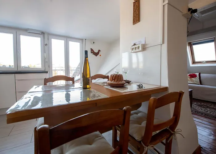 Au-dessus Du Jardin Climatise Eckbolsheim