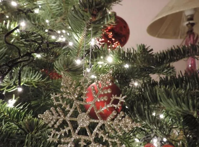 Au-dessus Du Jardin Climatise Apartment Eckbolsheim