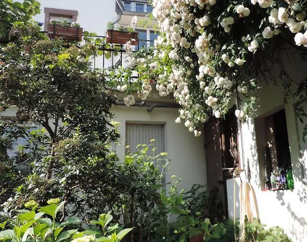 Apartment Au-dessus Du Jardin Climatise *