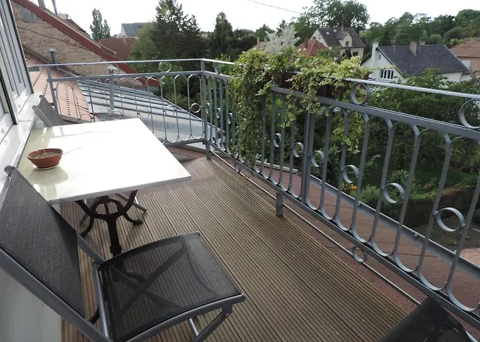 Apartment Au-dessus Du Jardin Climatise *