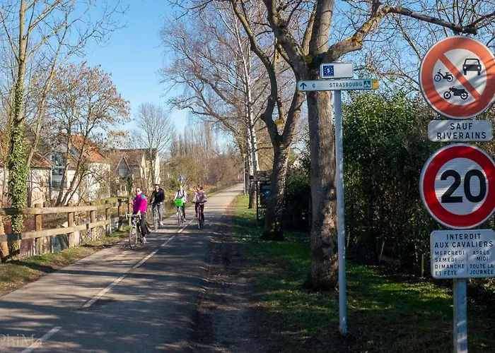 Au-dessus Du Jardin Climatise Eckbolsheim