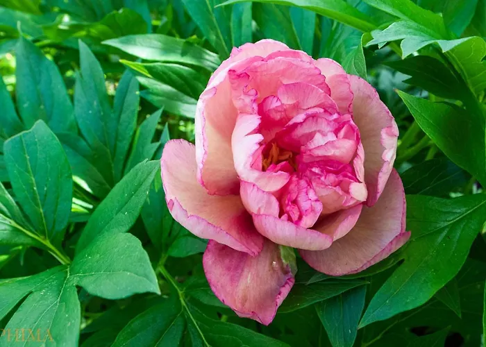 Au-dessus Du Jardin Climatise Apartment