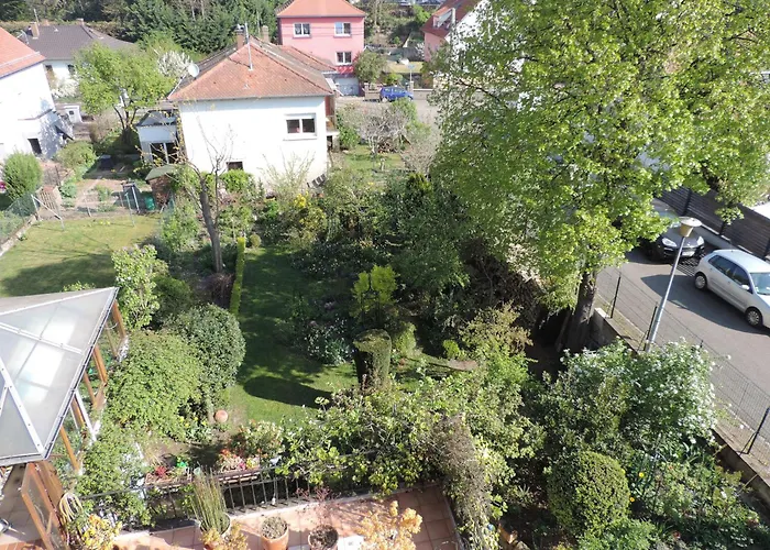 Au-dessus Du Jardin Climatise Eckbolsheim